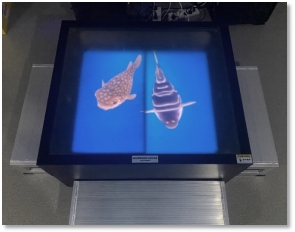 太阳城官网(中国)集团有限公司