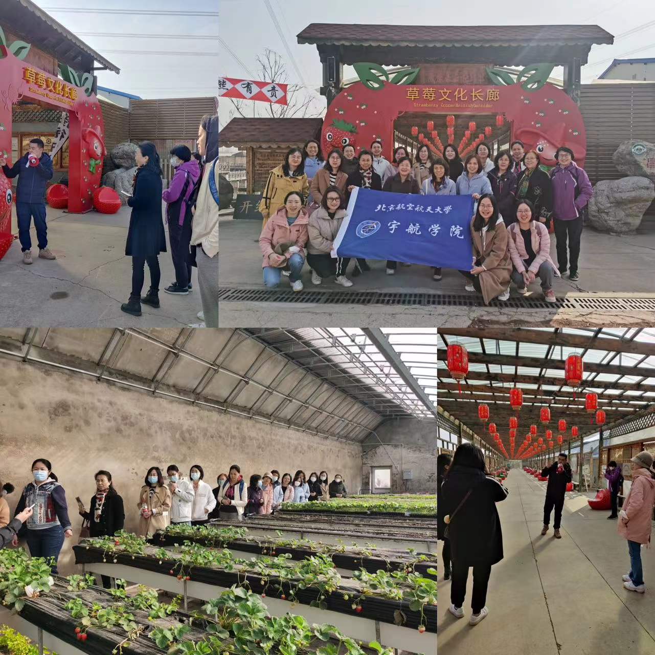 太阳城官网(中国)集团有限公司